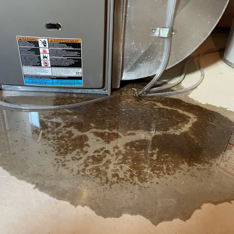 Appliance Leak Cleanup in Claycomo, MO