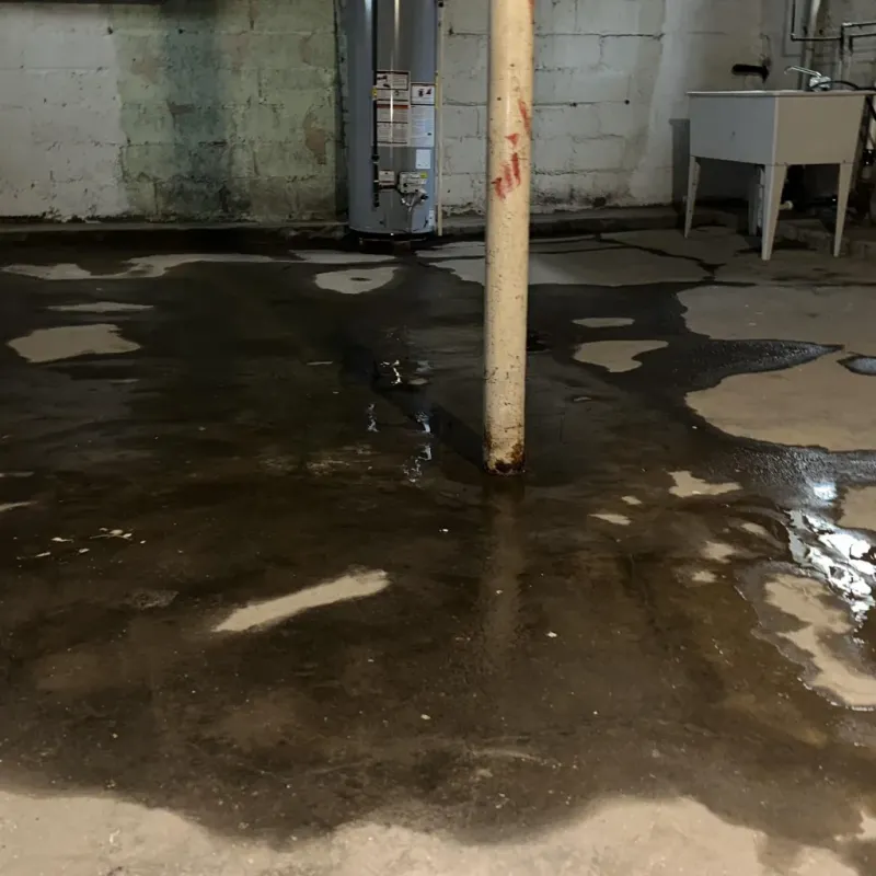 Emergency Water Extraction And Removal in Claycomo, MO